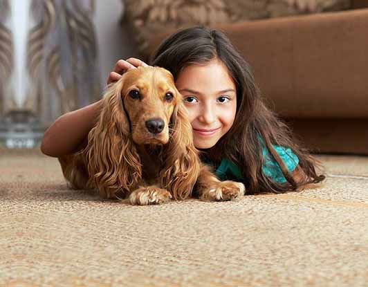 Did Your Pet Go Number 1 or Number 2 in the Carpet? Here is What You Can Do.