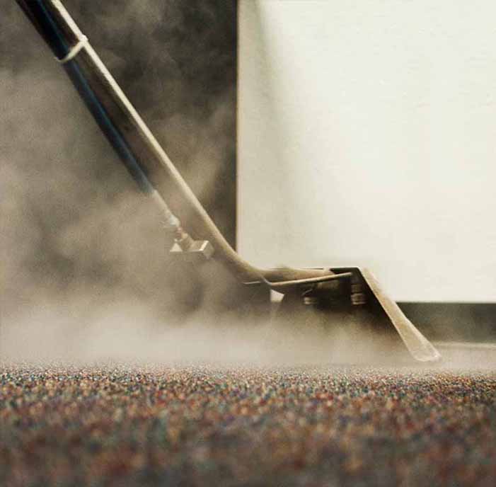 steam_king_carpet